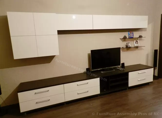 Wall-Mounted Entertainment Center Assembly